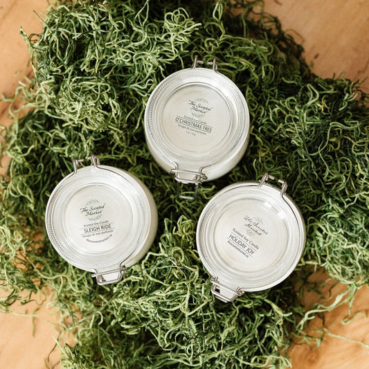 Winter Collection 3 Pack - The Scented Market