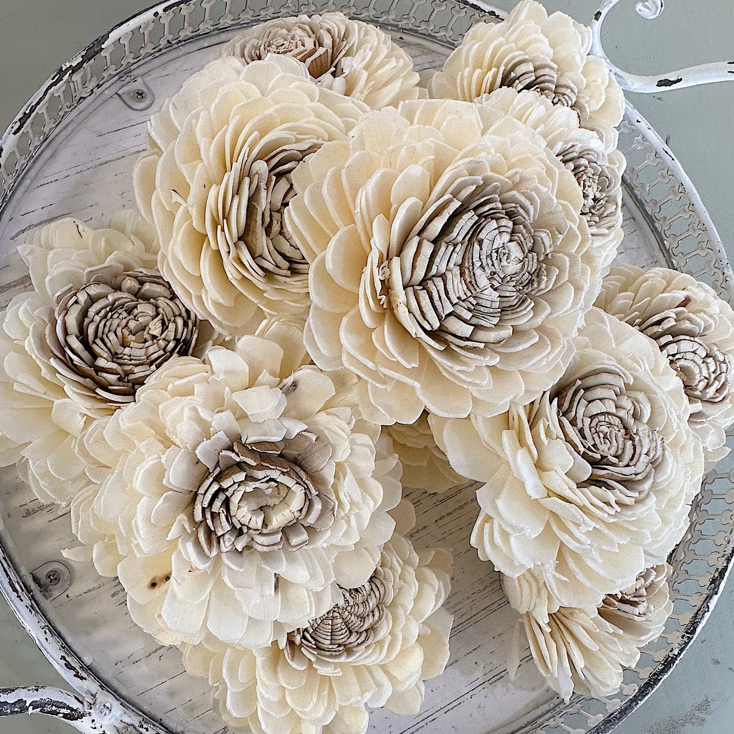 Dried Rukmani Flower - Decor