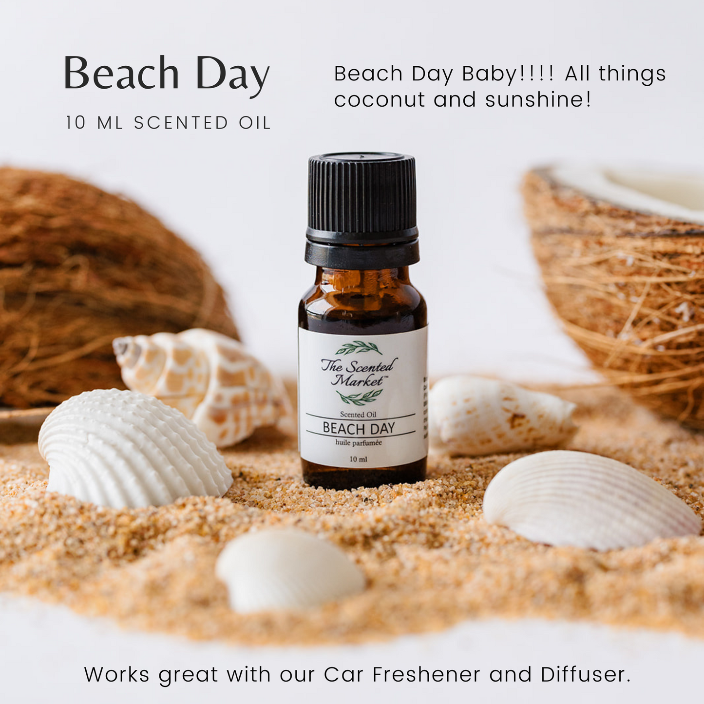 BEACH DAY Oil Fragrance - The Scented Market