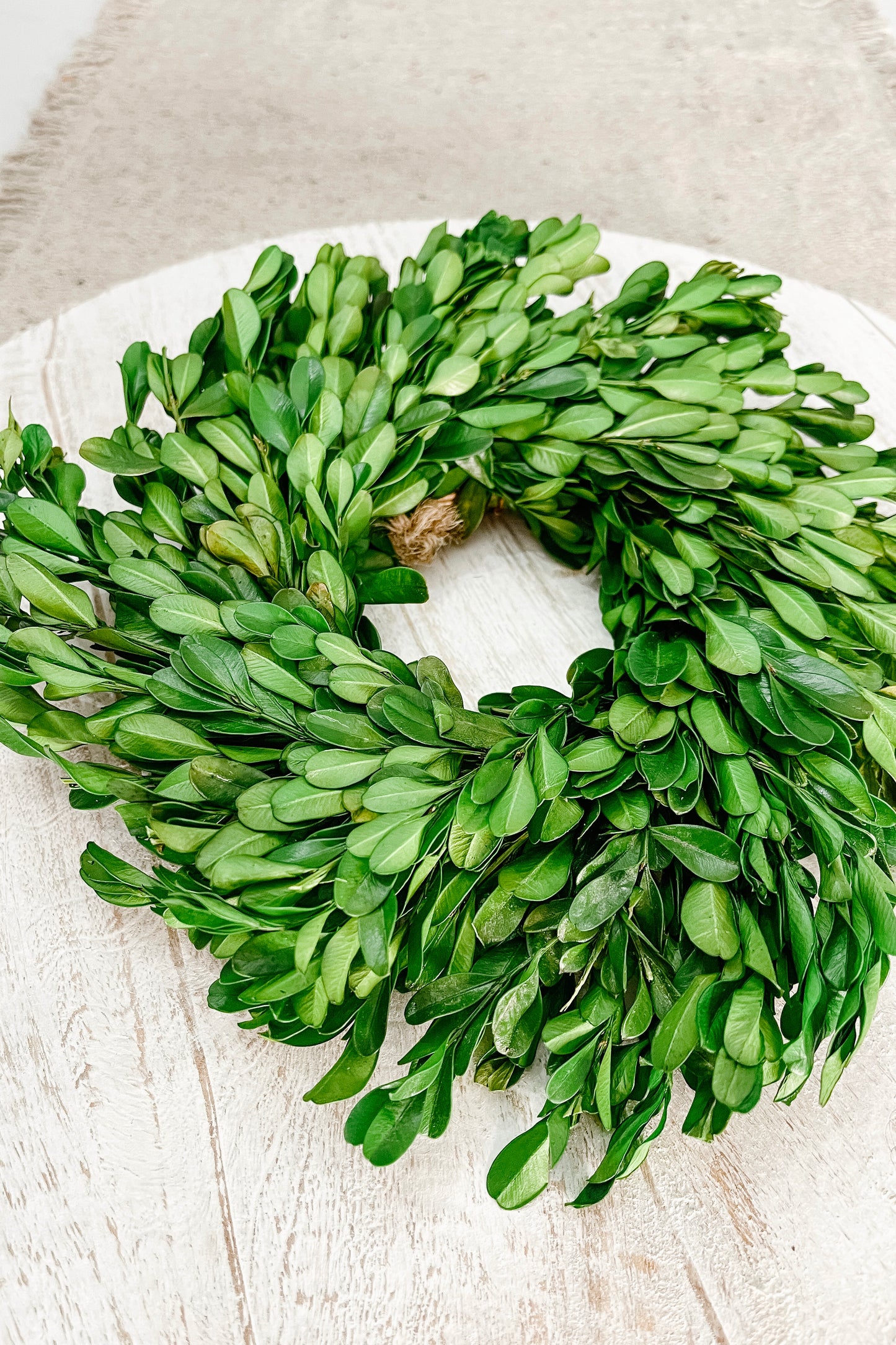 Boxwood Wreath - The Scented Market Wreaths & Garlands