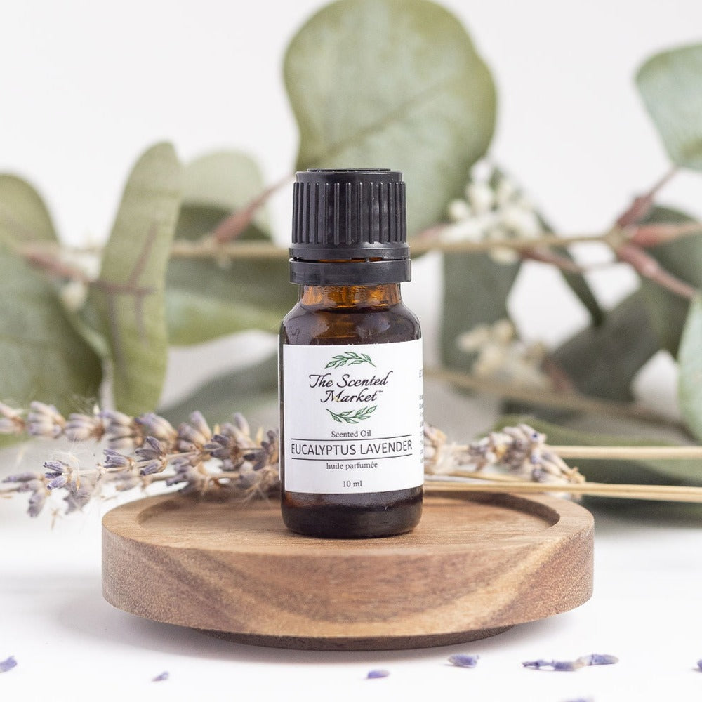 lavender oil for plants EUCALYPTUS LAVENDER Oil Fragrance – Long-Lasting, Scented Oils for Hom – The Scented Market