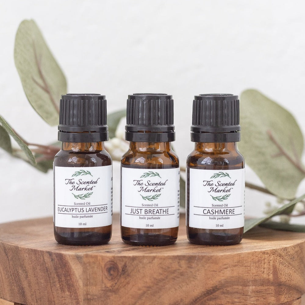 EUCALYPTUS LAVENDER Oil Fragrance – Long-Lasting, Scented Oils for Home and Personal Use - The Scented Market Fragrance Oil