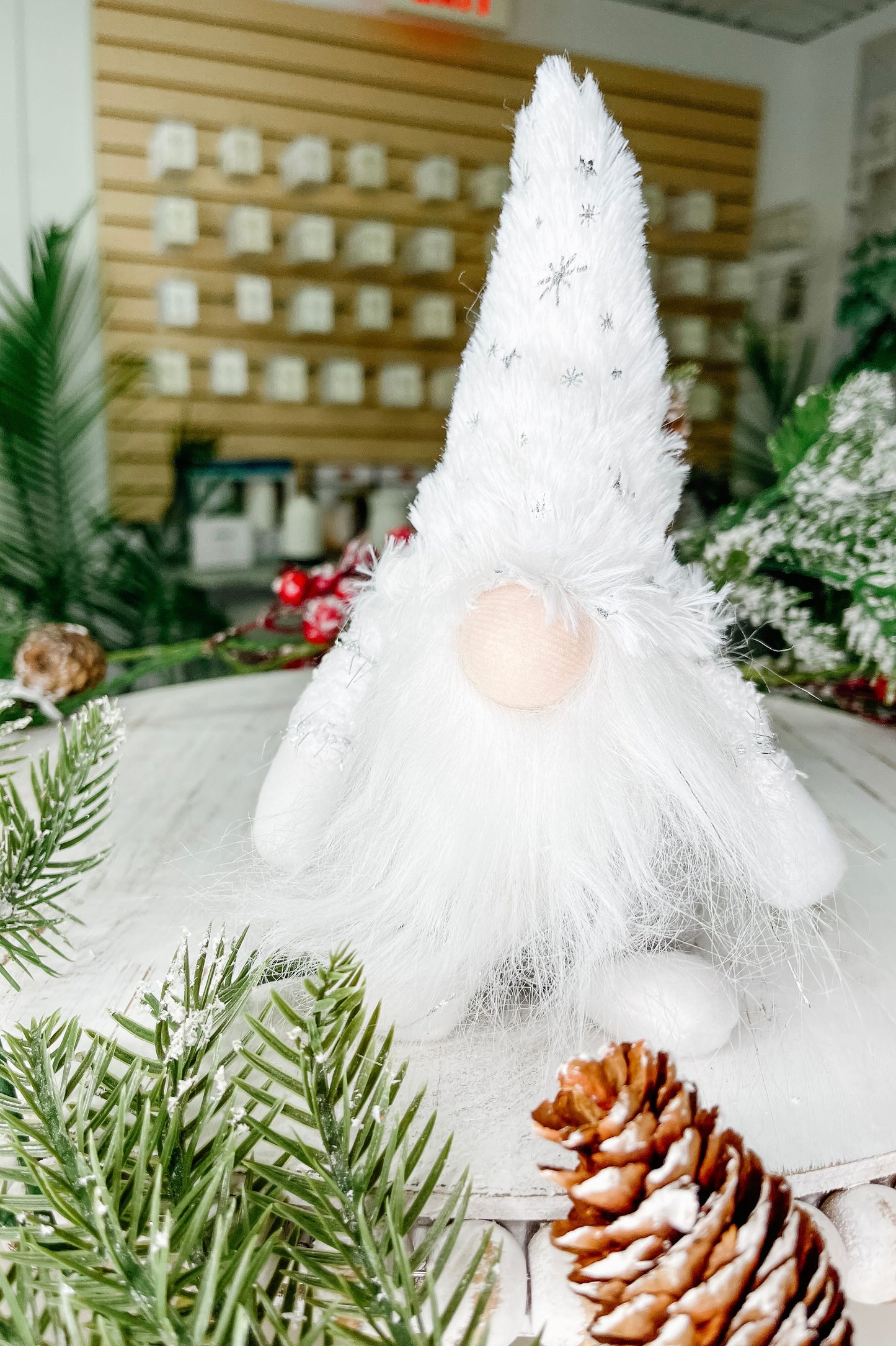 Winter Gnome