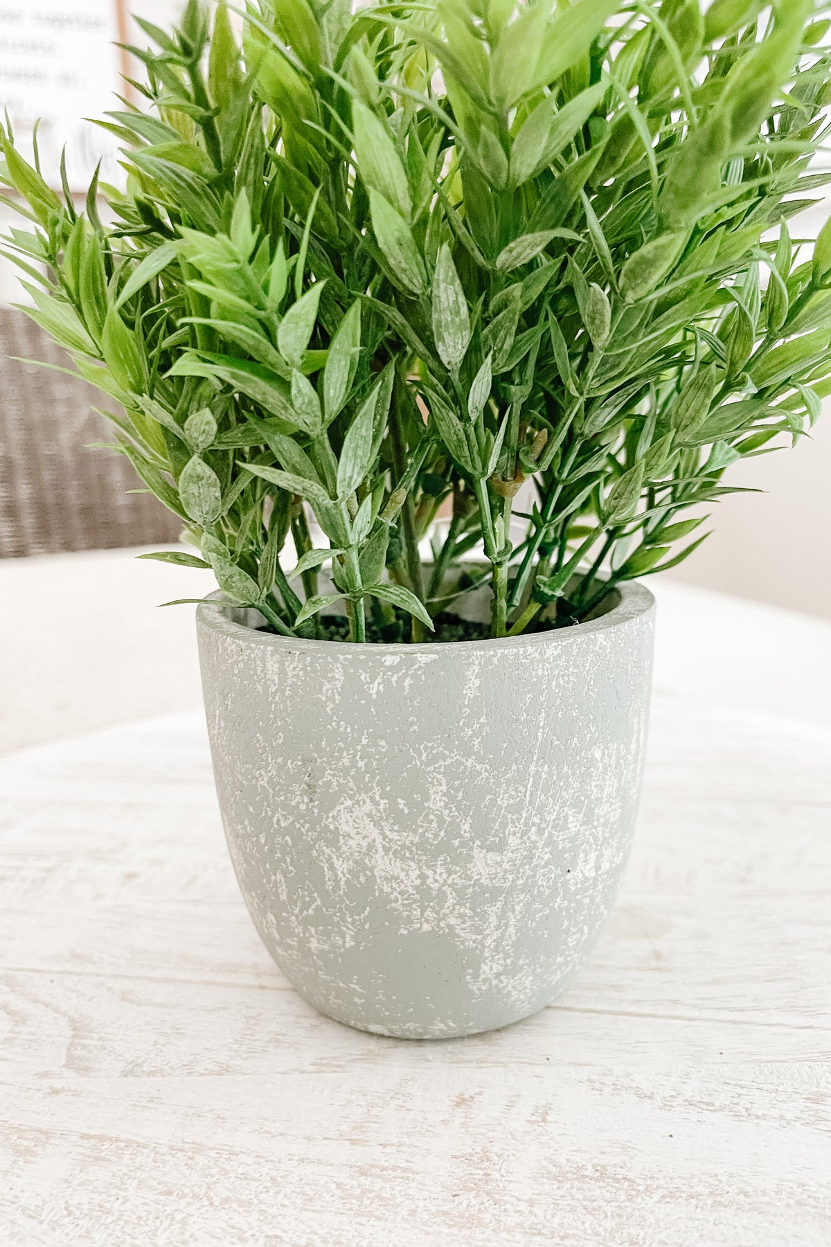 Faux Bamboo in a Pot - The Scented Market Artificial Flora