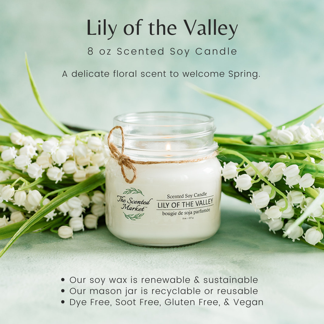 LILY OF THE VALLEY Soy Wax Candle 8 oz - The Scented Market Candles