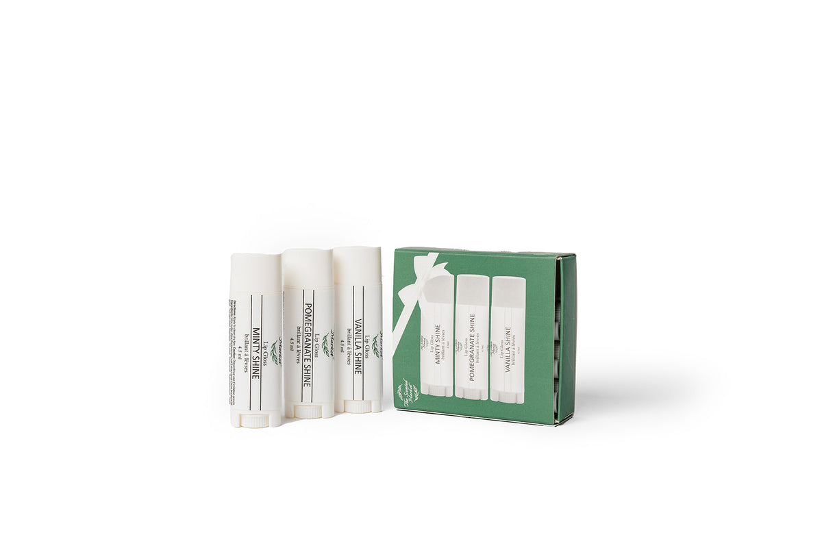 Lip Shine Gift Set – Hydrating Lip Balm and Gloss Trio for Glossy, Soft Lips