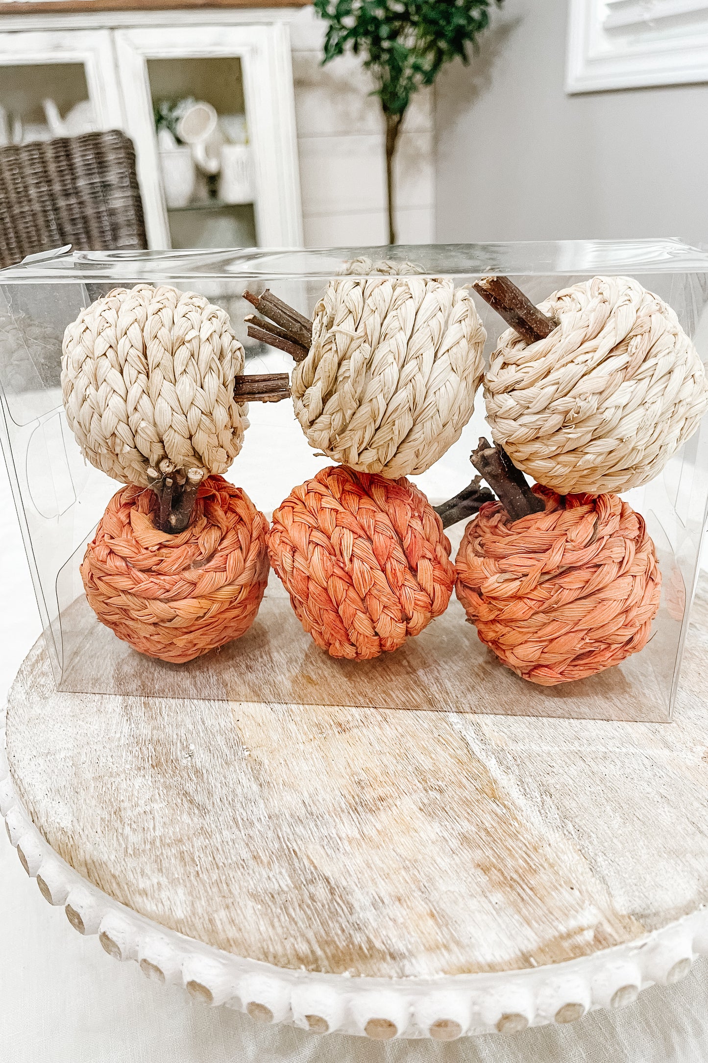 Mini Pumpkins - 6 pack - The Scented Market