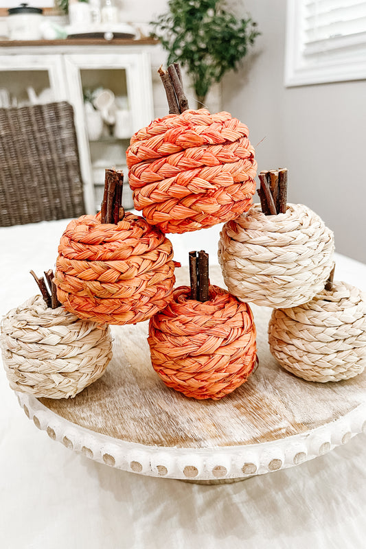 Mini Pumpkins - 6 pack - The Scented Market