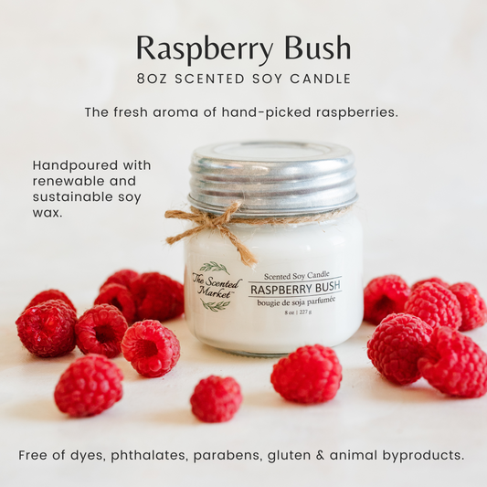 RASPBERRY BUSH Soy Wax Candle 8 oz - The Scented Market Candles