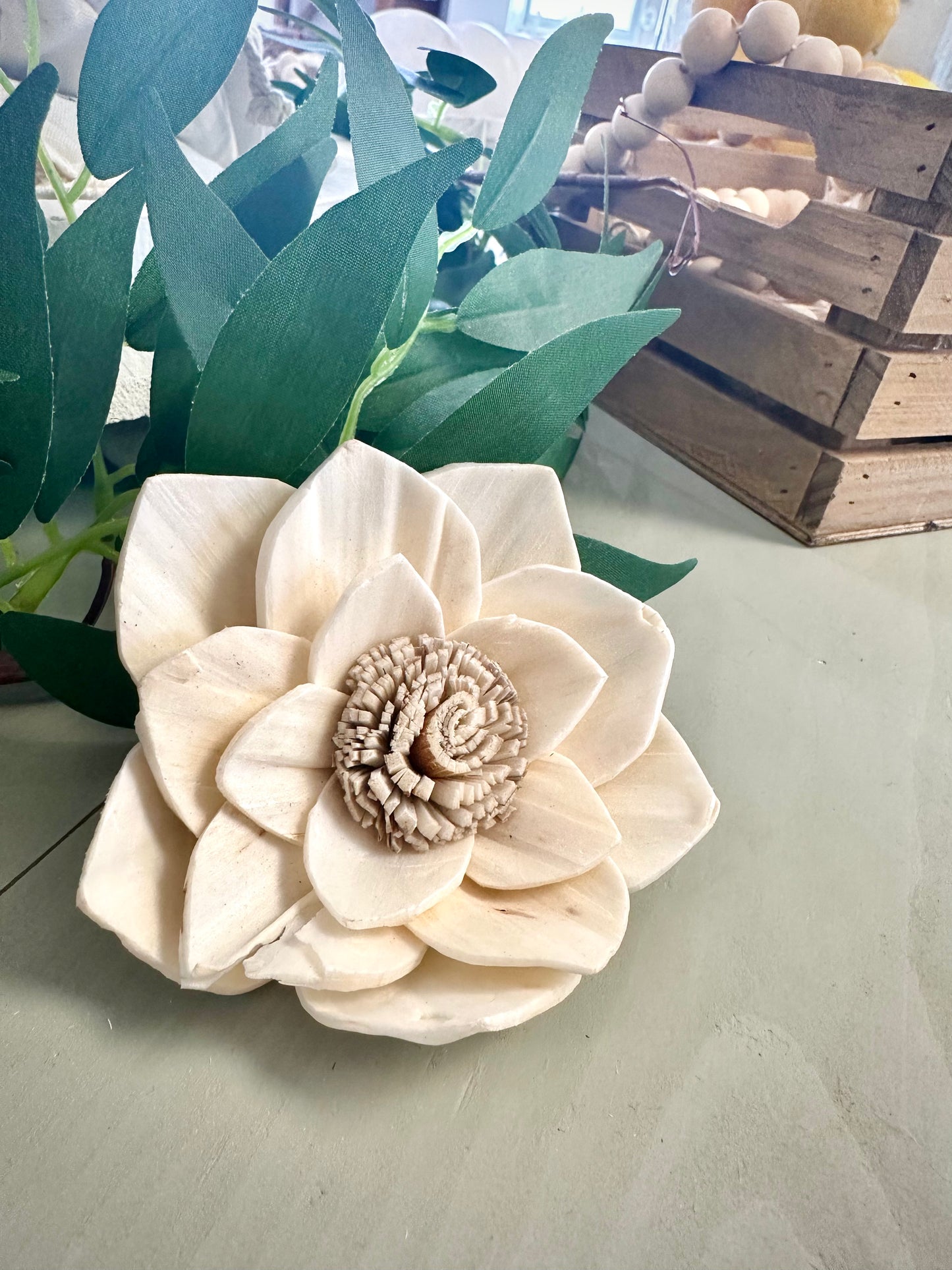 Shola Star - Decor - The Scented Market Artificial Flora