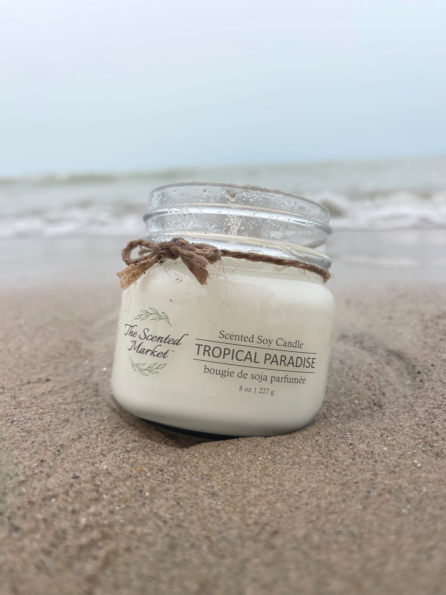 TROPICAL PARADISE - Scent of The Month August - The Scented Market Candles