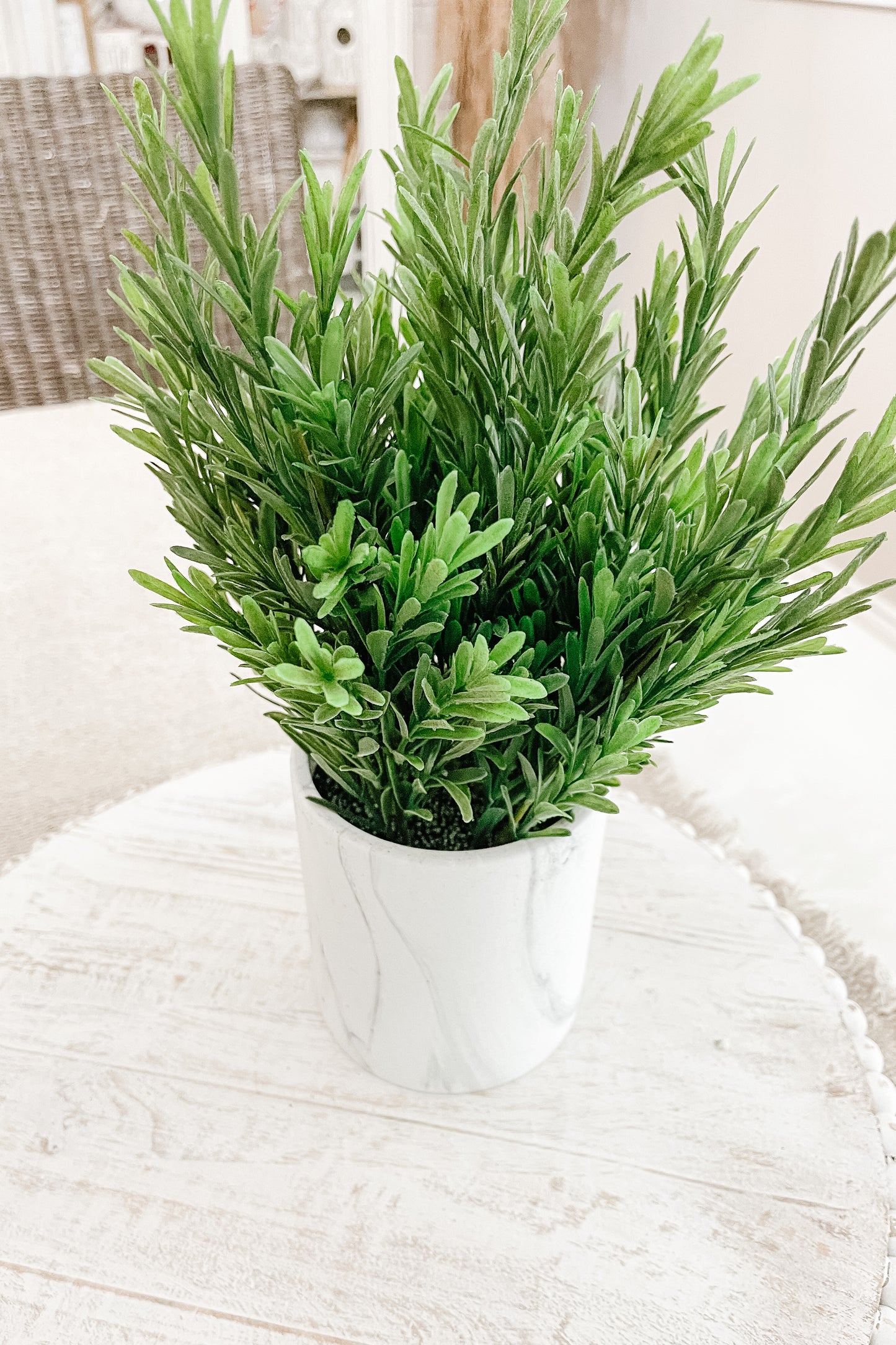 Faux eucalyptus dans un pot mat