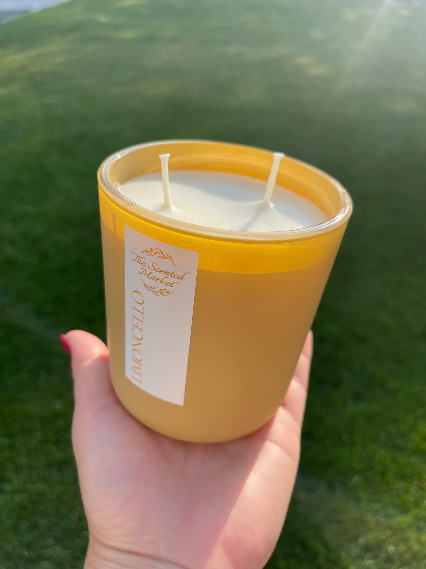 LIMONCELLO 12 oz Scented Soy Wax Candle