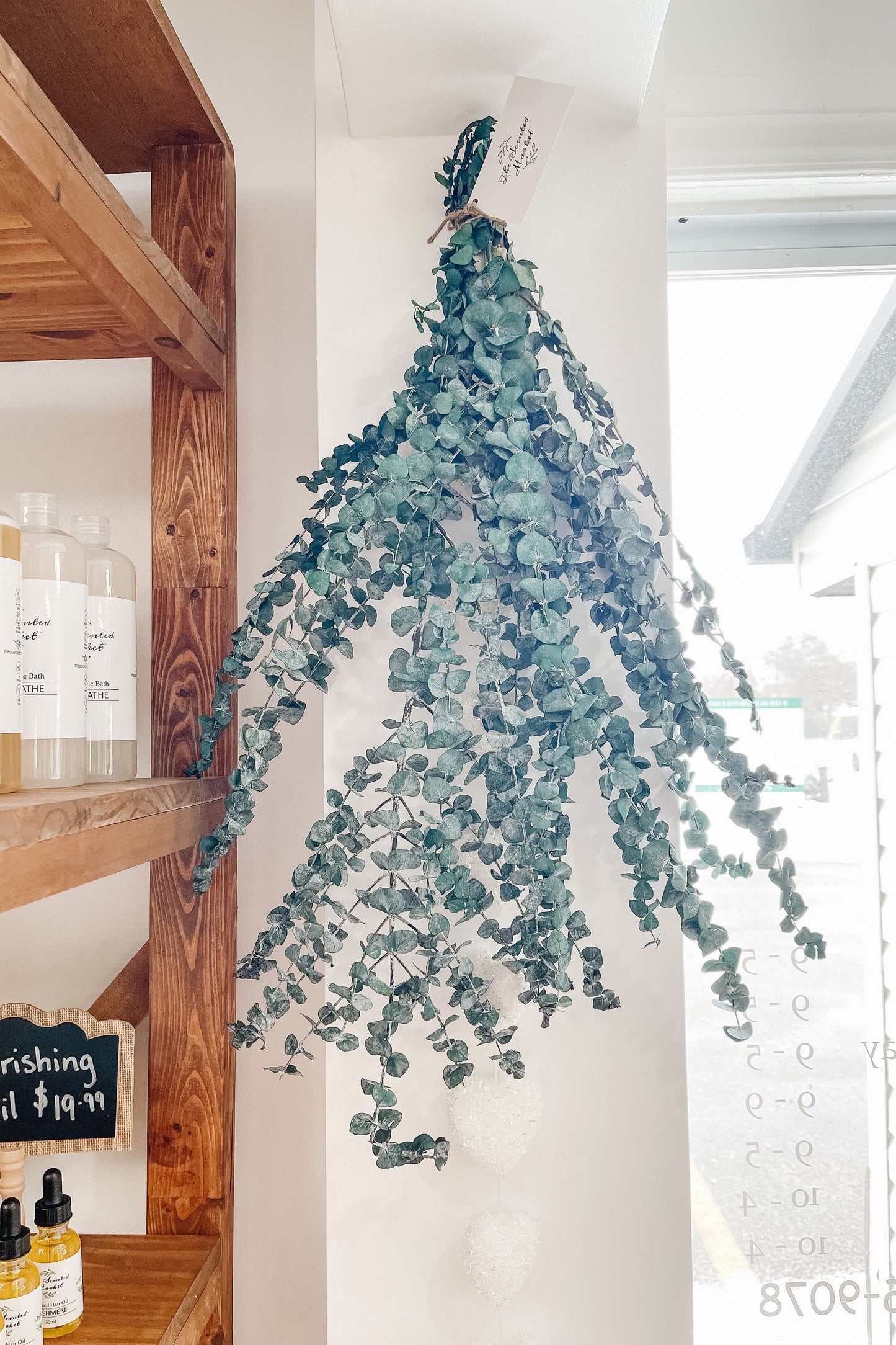 Fresh Eucalyptus Bunch - The Scented Market Plants