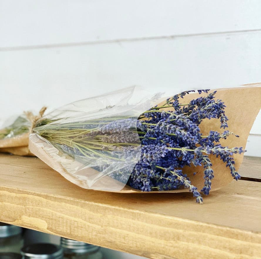 Fresh Lavender Bouquet – Calming, Aromatic, and Versatile - The Scented Market Plants