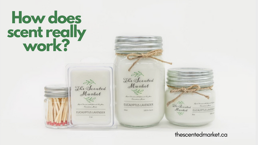 The Scented Market soy candles and wax melt.
