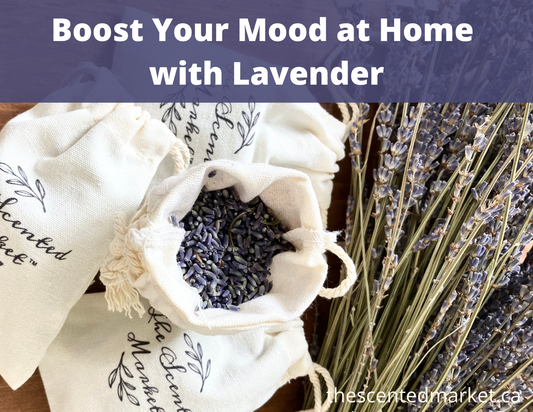 Boost Your Mood at Home with Lavender