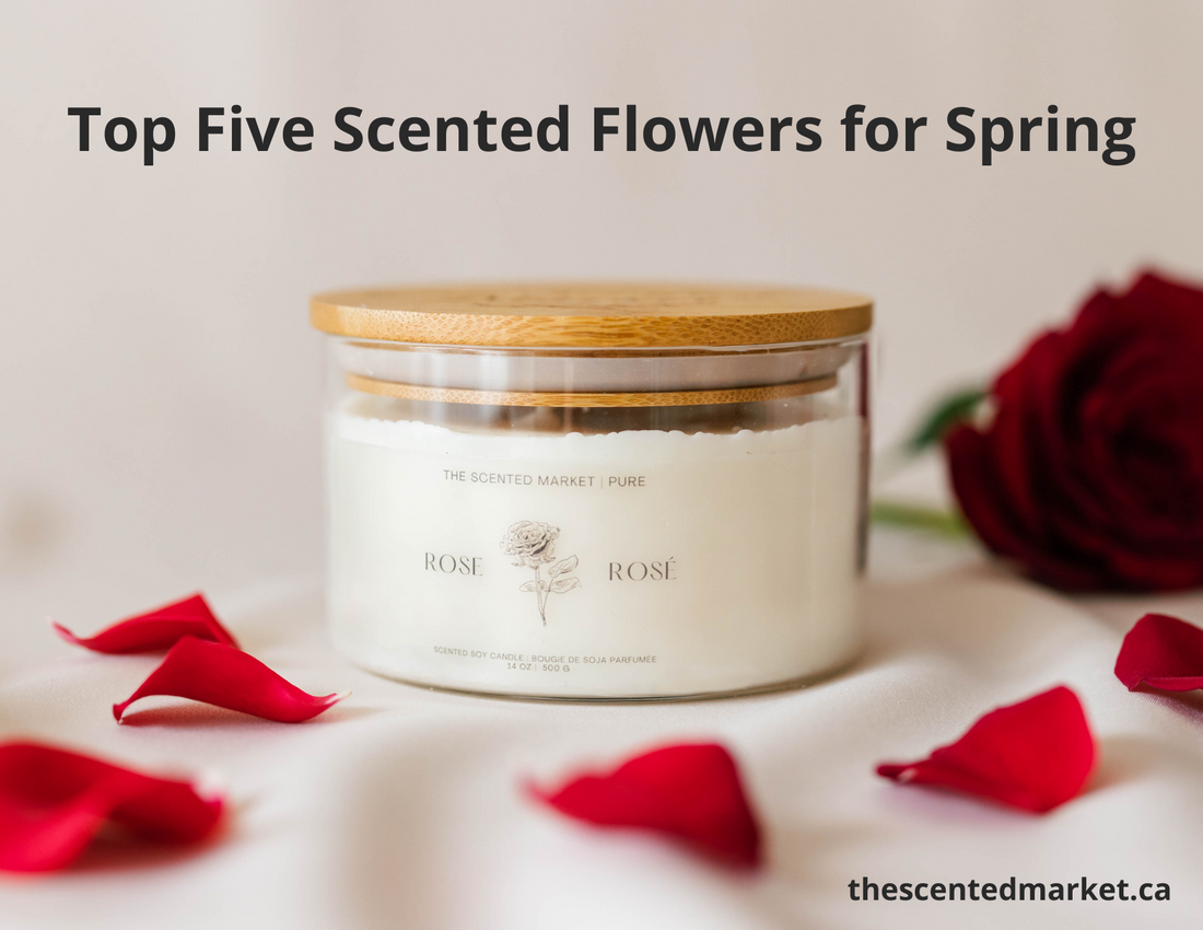 Top Five Scented Flowers for Spring