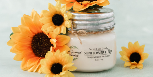 Meet August’s Scent of the Month - Sunflower Field