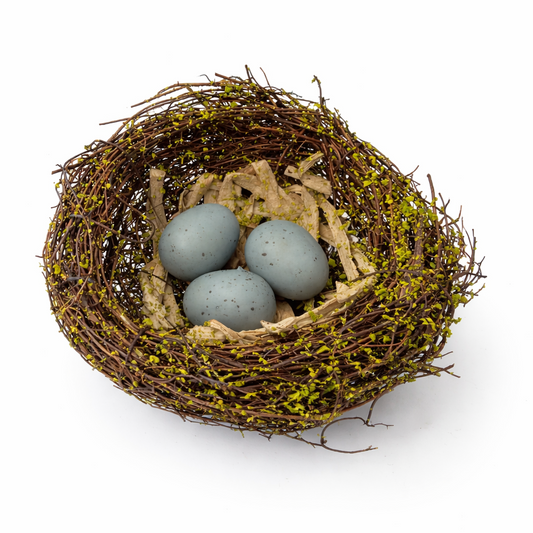 Nest with three eggs on a white background