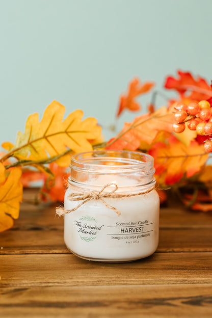 HARVEST Soy Wax Candle 8 oz - The Scented Market 