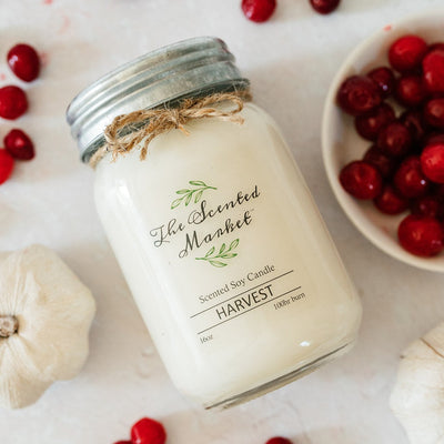 HARVEST Soy Wax Candle 16 oz - The Scented Market 