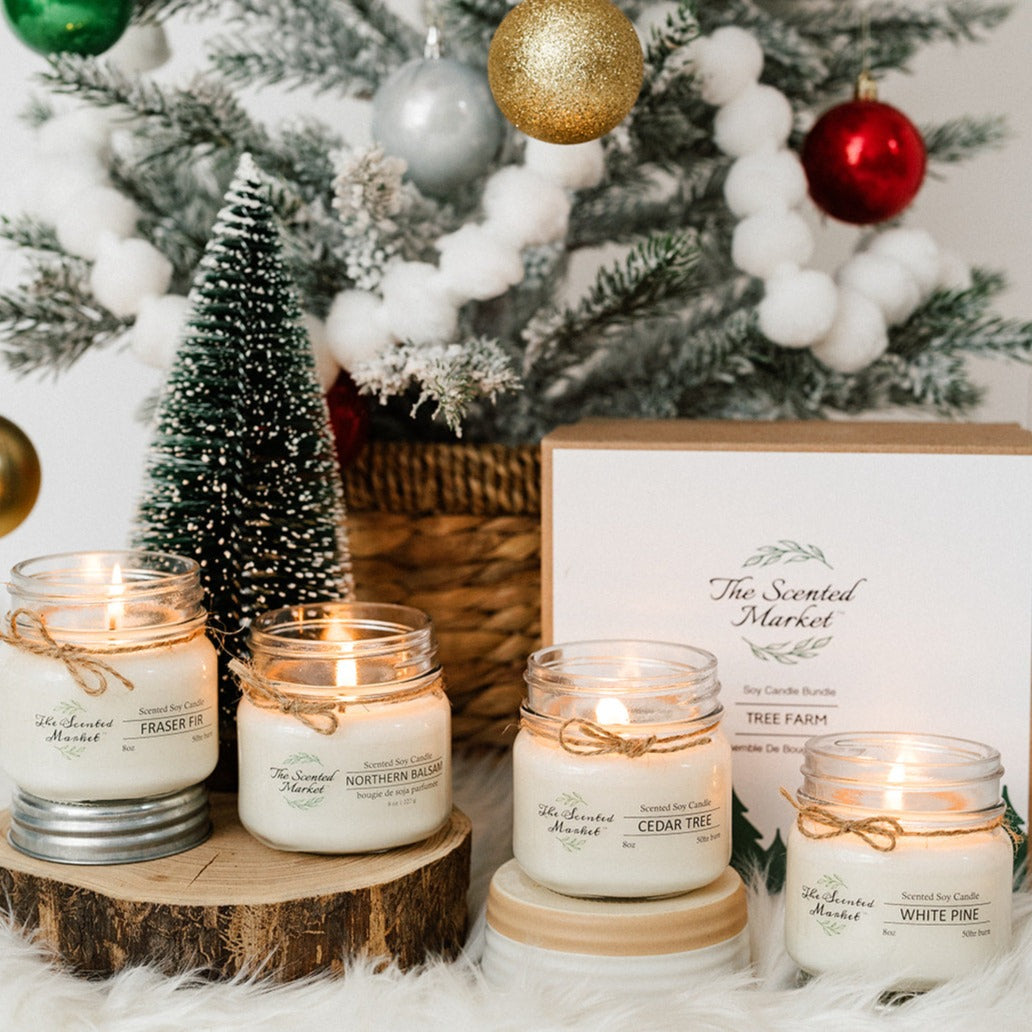 Tree Farm Winter Box - The Scented Market 