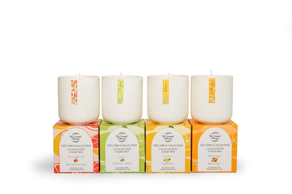 Citrus Collection - Grapefruit Soy Wax Candle