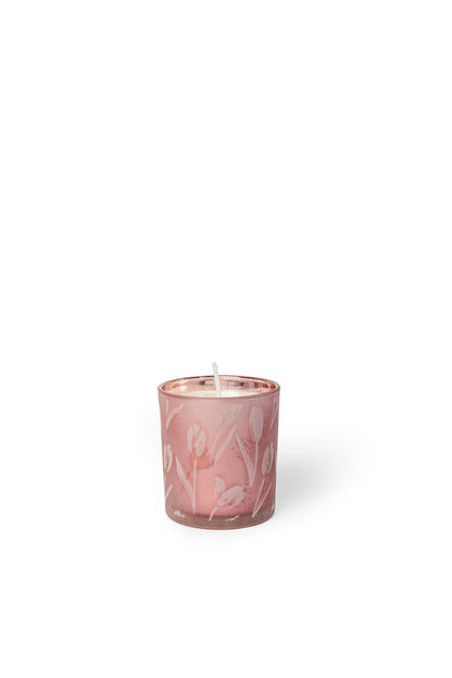 Tulip 1 Wick Soy Wax Candle - 8 oz
