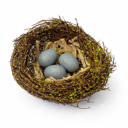 Nest with three eggs on a white background