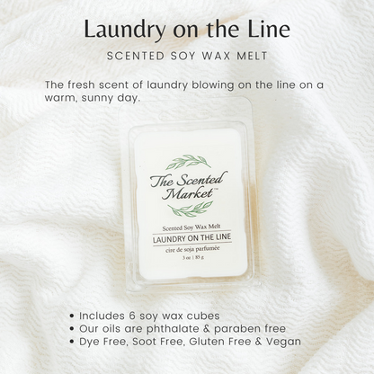 LAUNDRY ON THE LINE Soy Wax Melt