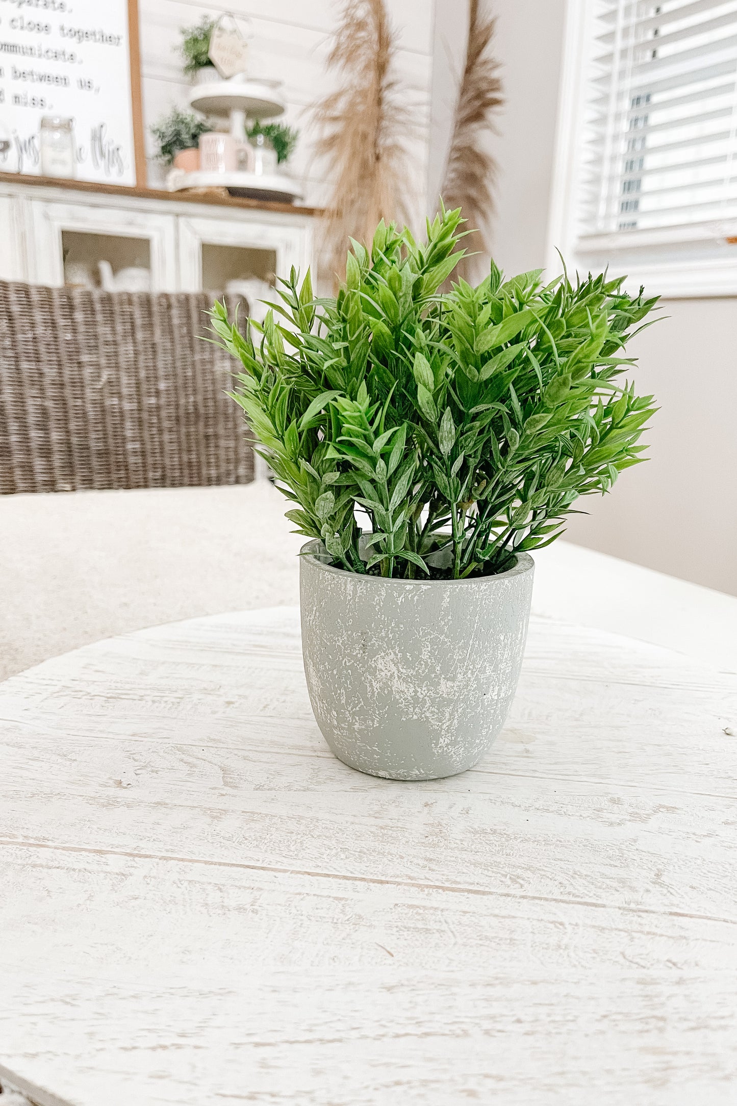 Faux Bamboo in a Pot - The Scented Market  Artificial Flora   