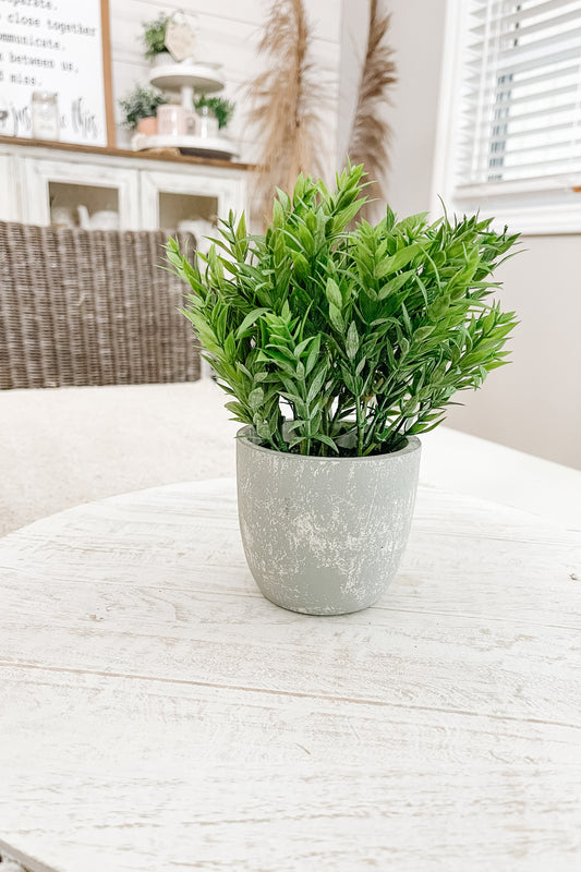Faux Bamboo in a Pot - The Scented Market  Artificial Flora   