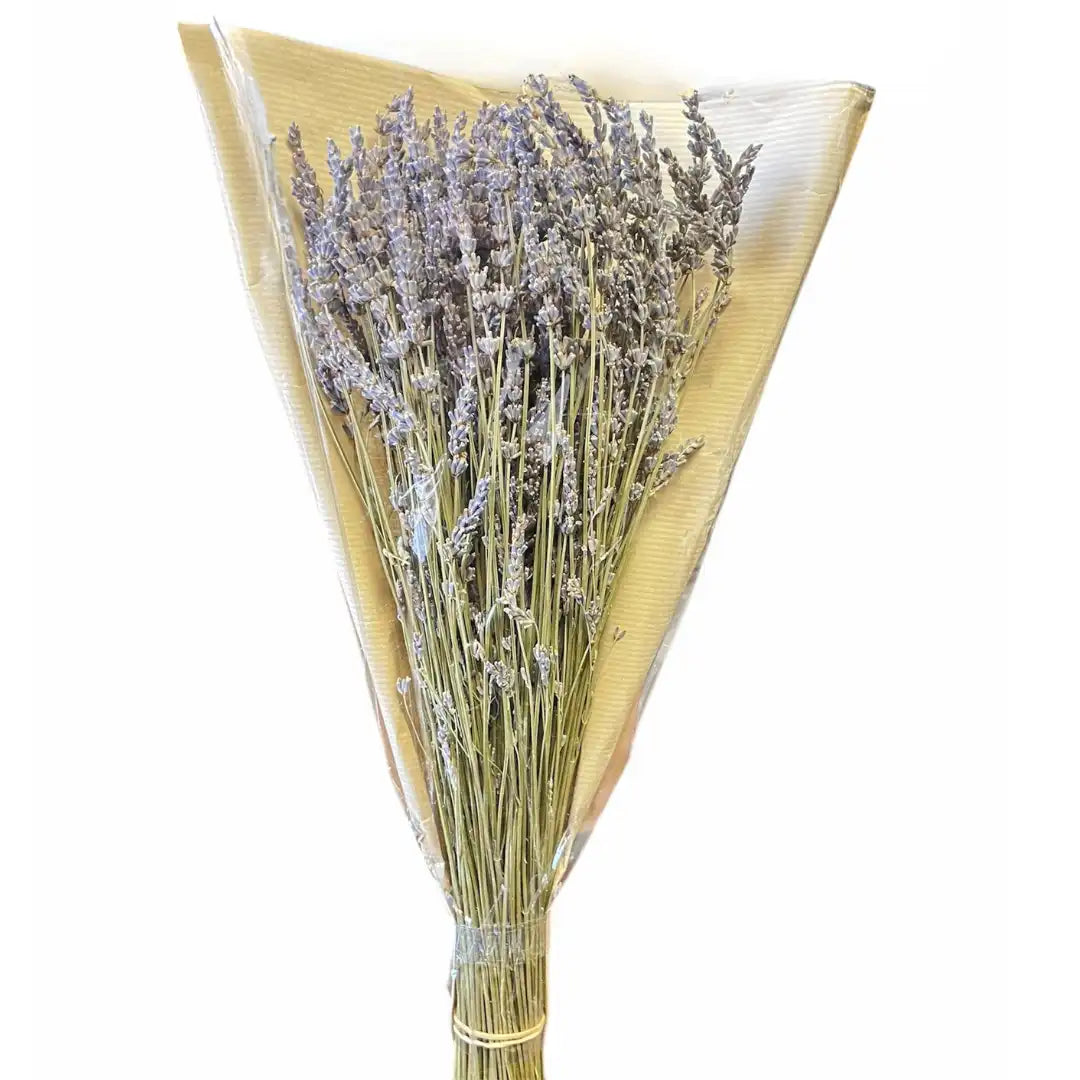 Fresh Lavender Bouquet – Calming, Aromatic, and Versatile