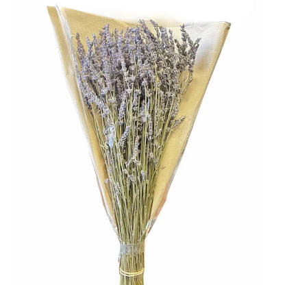 Fresh Lavender Bouquet – Calming, Aromatic, and Versatile