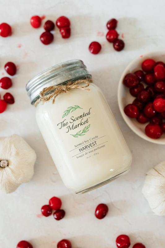 HARVEST Soy Wax Candle 16 oz - The Scented Market  Candles   