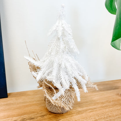 Frosted Mini White Fir Tree