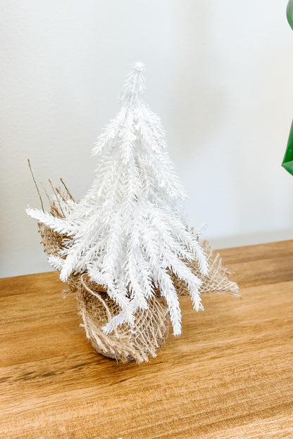 Frosted Mini White Fir Tree