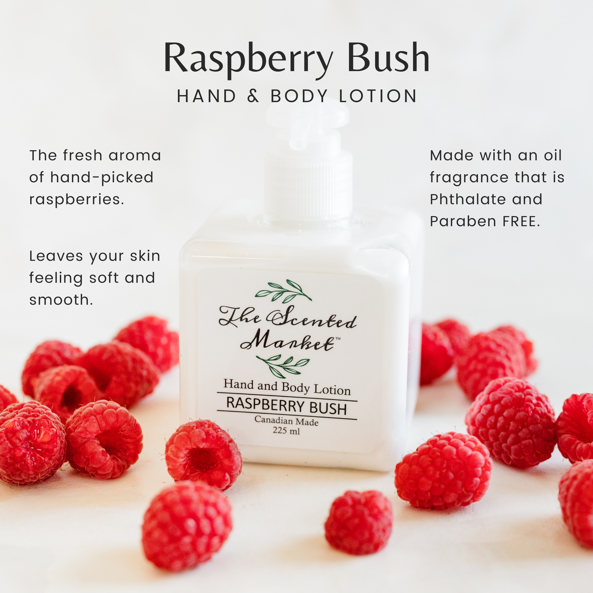 RASPBERRY BUSH Hand & Body Lotion - The Scented Market 