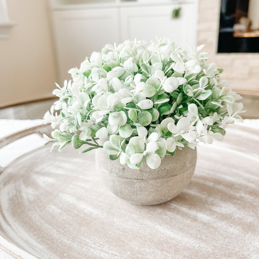 Lifelike Faux Plant – Perfect for Holders, Shelves & Home Décor - The Scented Market  Artificial Flora   