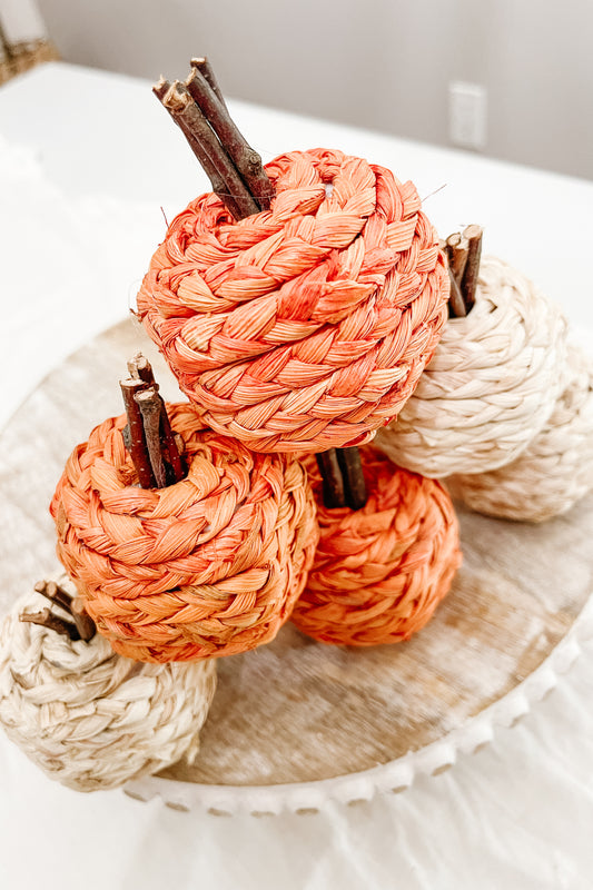 Mini Pumpkins - 6 pack - The Scented Market     