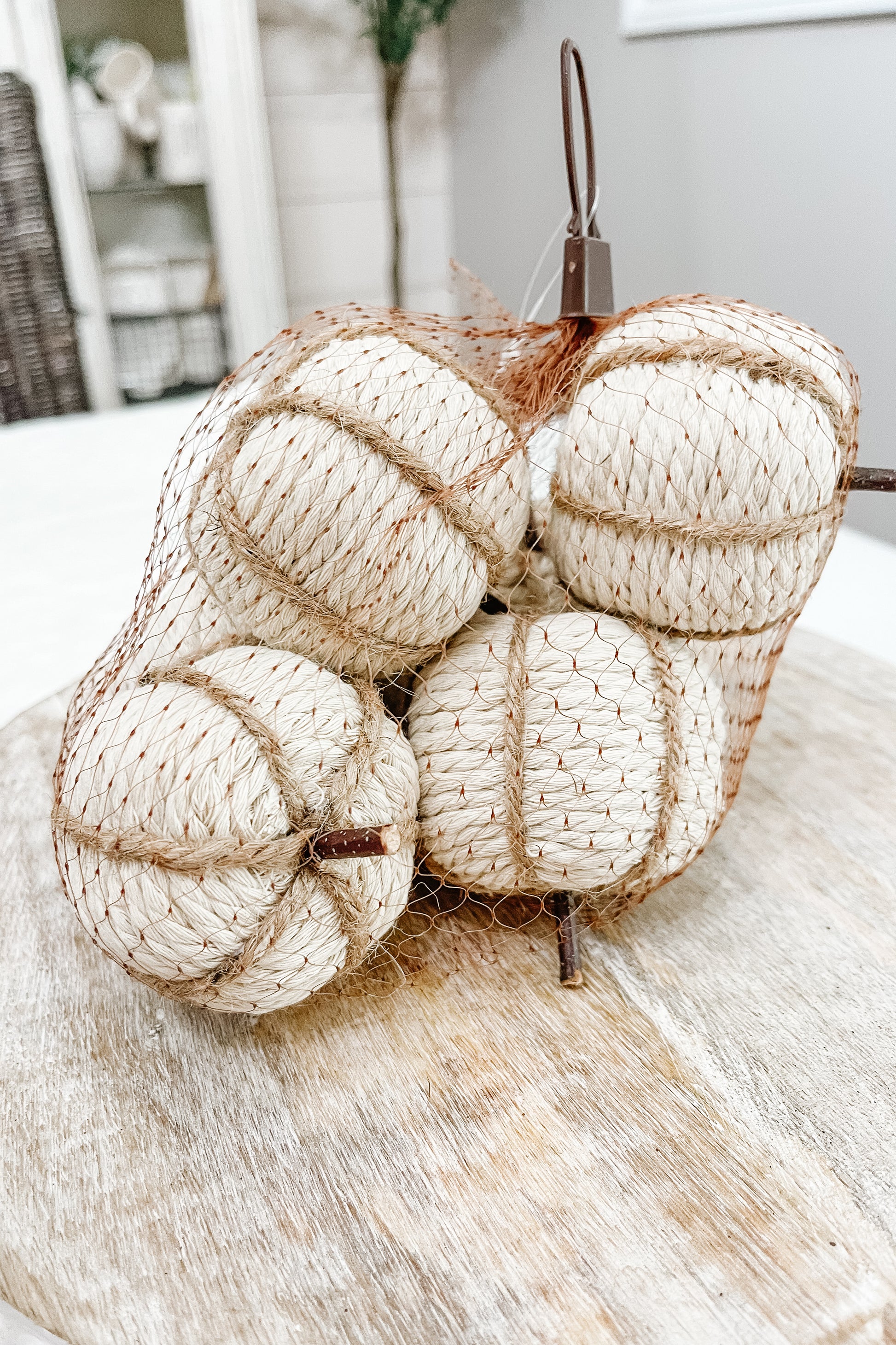 Mini White Pumpkins - 6 pack - The Scented Market     