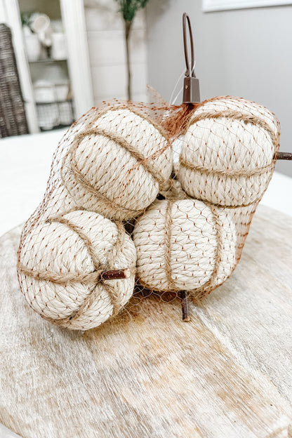 Mini White Pumpkins - 6 pack - The Scented Market     