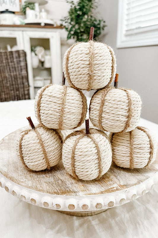 Mini White Pumpkins - 6 pack - The Scented Market     