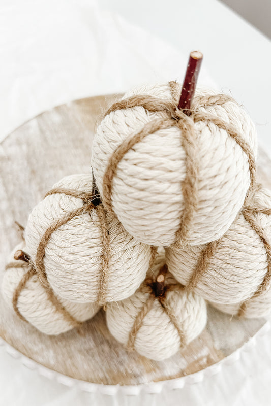 Mini White Pumpkins - 6 pack - The Scented Market     