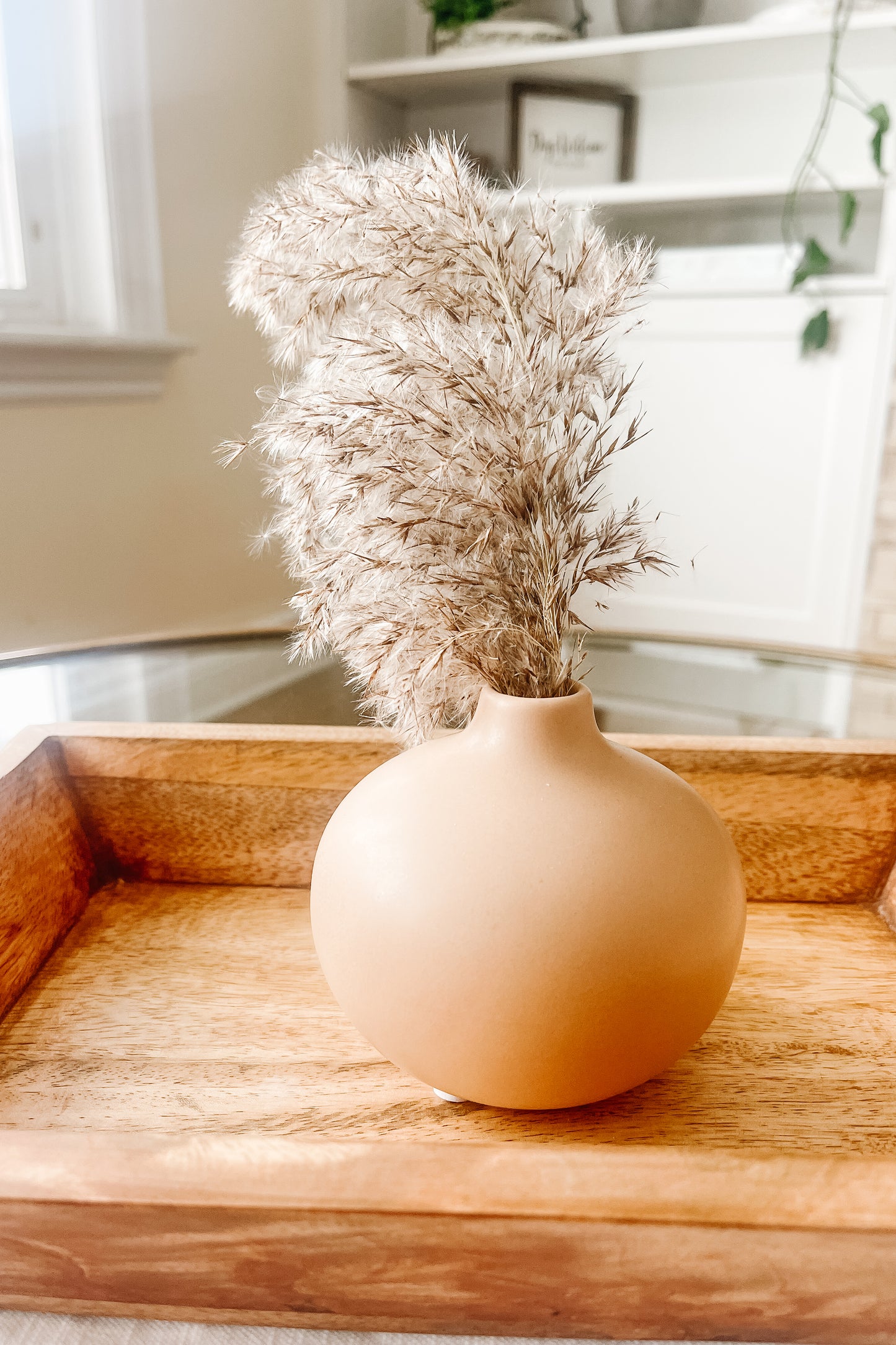 Shorty Tan Vase – Modern Minimalist Decorative Vase for Home Décor - The Scented Market  Vases   