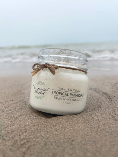 TROPICAL PARADISE - Scent of The Month August - The Scented Market  Candles   