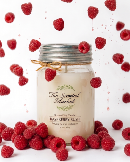 Bougie en cire de soja RASPBERRY BUSH 16 oz