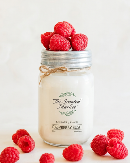 Bougie en cire de soja RASPBERRY BUSH 16 oz