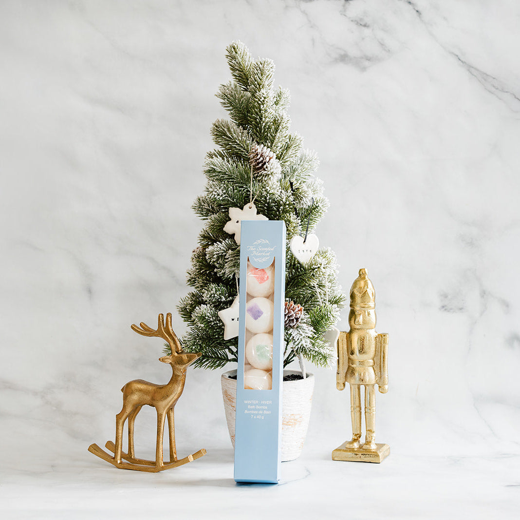 Winter Bath Bomb Gift Box – 7-Pack Holiday Bath Bomb Set for Relaxation & Moisturizing Skin Care - The Scented Market  Bath & Body Gift Sets   